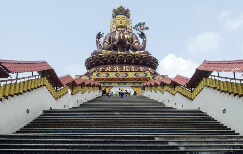 The Queen of the Hills Deluxe