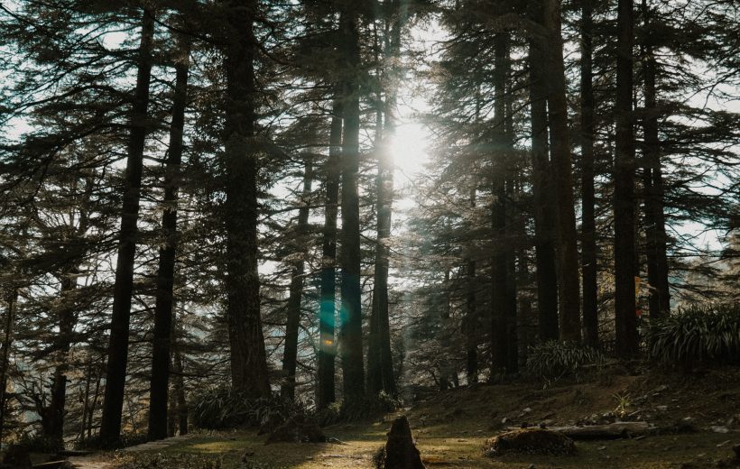 MEGHALAYA THE WONDERLAND LUXURY