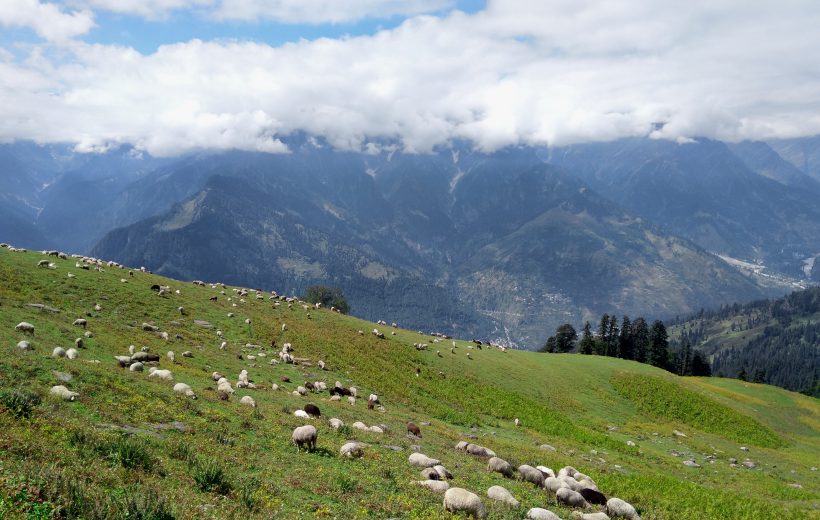 SCENIC SHILLONG AND GUWAHATI DELUXE