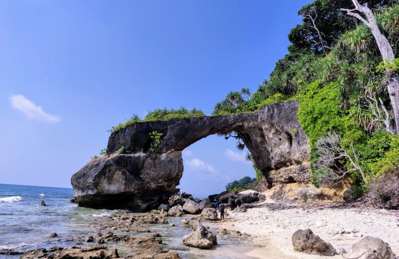 AMAZING ANDAMAN STANDARD