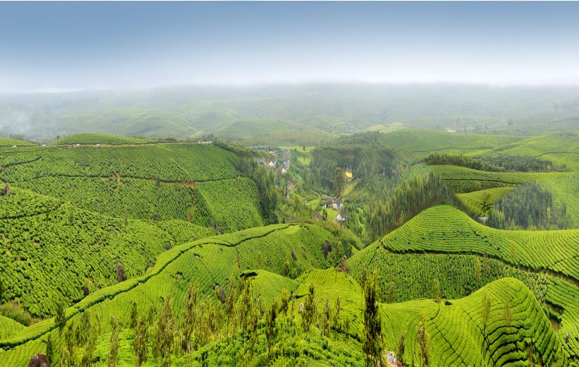 Fabulous Kerala Deluxe